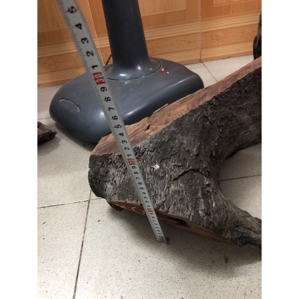 Lũa ghép lan Quảng Trị dài 40cm, rộng 20cm, cao 10cm