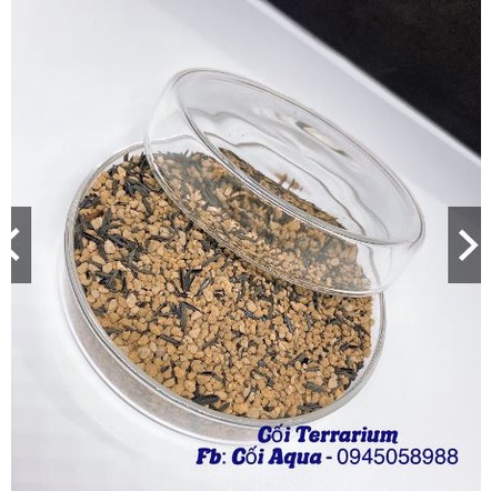 Combo Đất trộn sẵn và dụng cụ trồng Terrarium