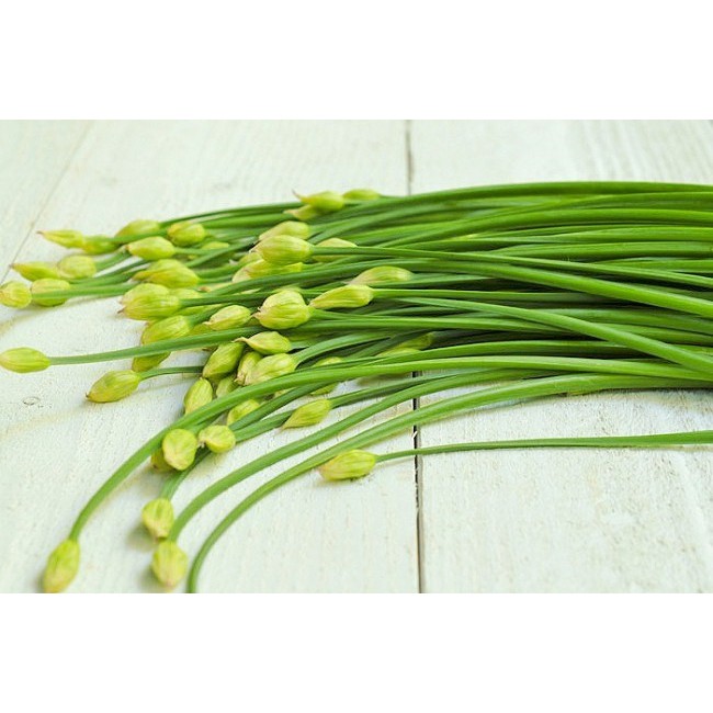 Bộ 1 hạt giống hẹ bông
