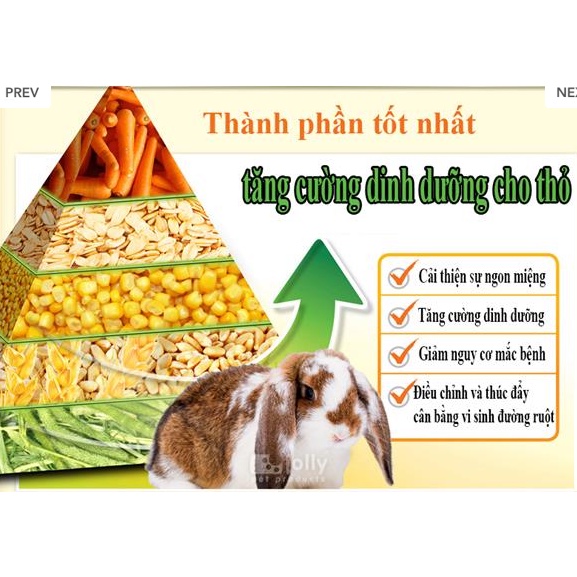 Jolly Fullvit Thức Ăn Cho Thỏ Con Nhiều Vitamin 1kg