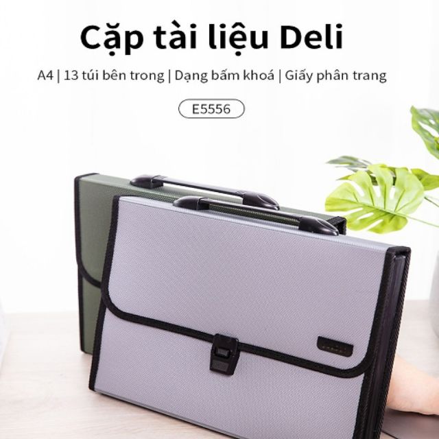 Cặp Tài Liệu 5556 Deli-Màu Ngẫu Nhiên