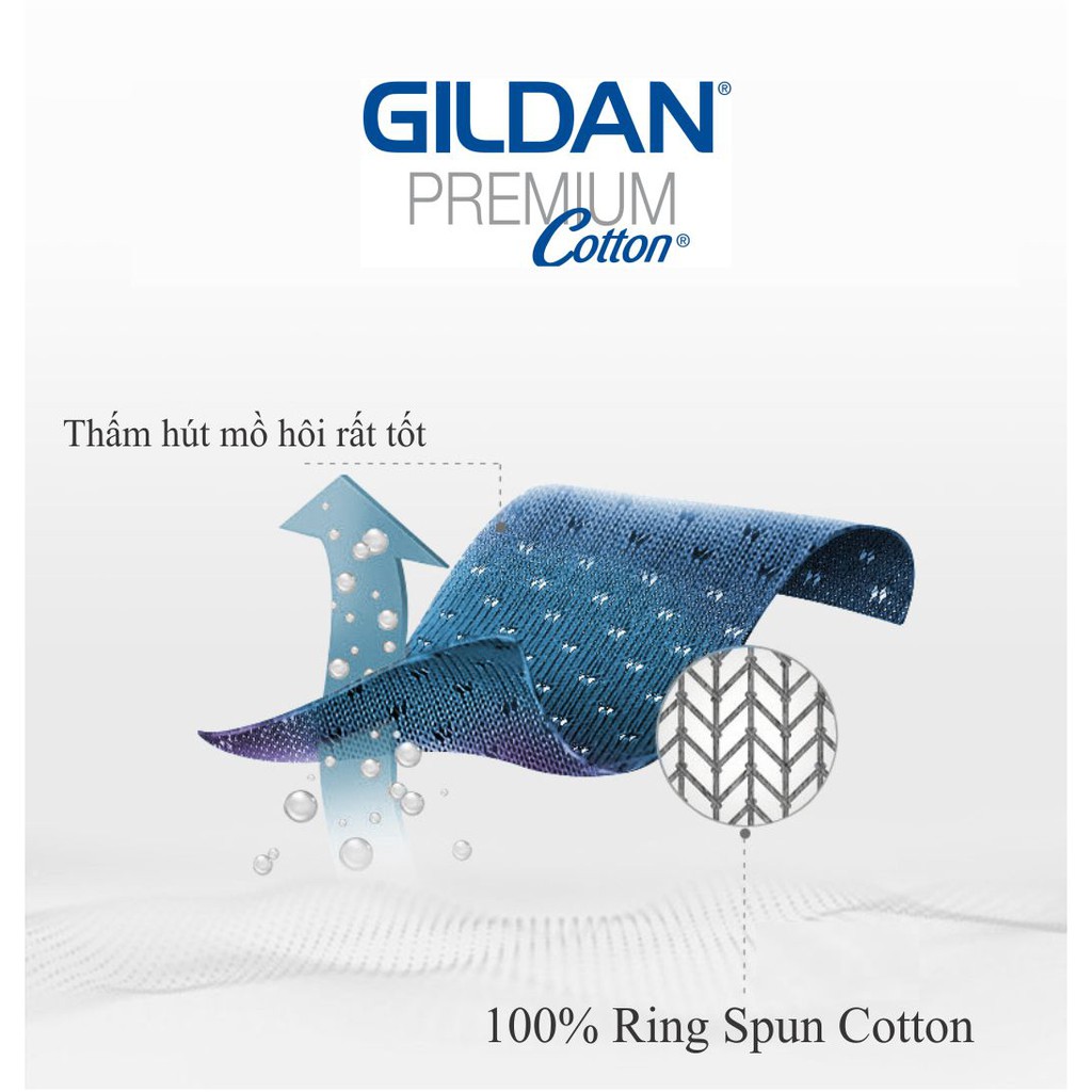 Áo thun Gildan Premium Cotton chuẩn chính hãng - 100% cotton