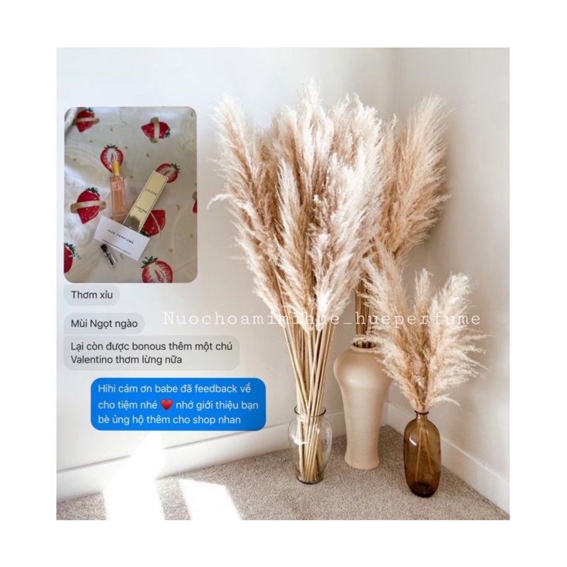 Lavie Nước hoa mini 20ml thơm cực lâu ngọt ngào quyến rũ | BigBuy360 - bigbuy360.vn