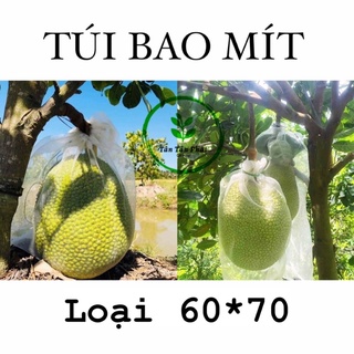 [60x70cm]✨10 TÚI BAO, BỌC TRÁI MÍT CƯỚC THÁI LOẠI TỐT