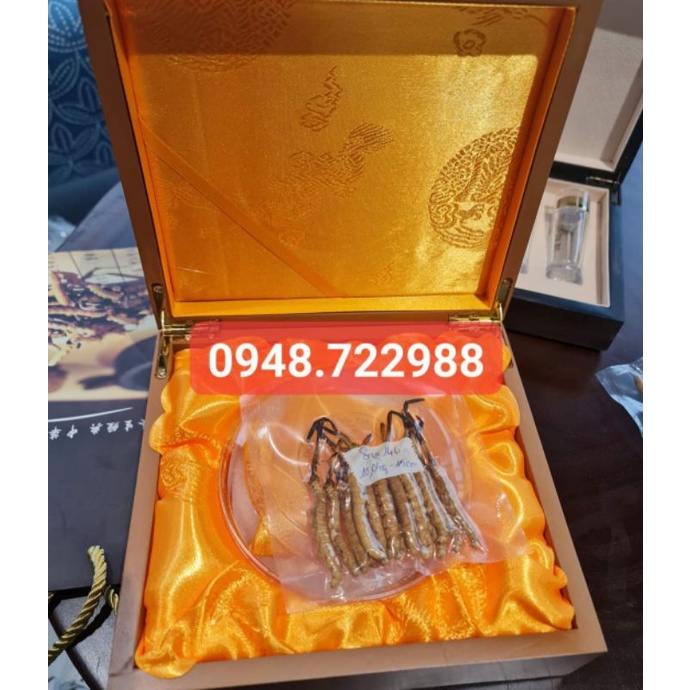 Quà Biếu Thượng Hạng - Đông Trùng Hạ Thảo Na Khúc Tây Tặng