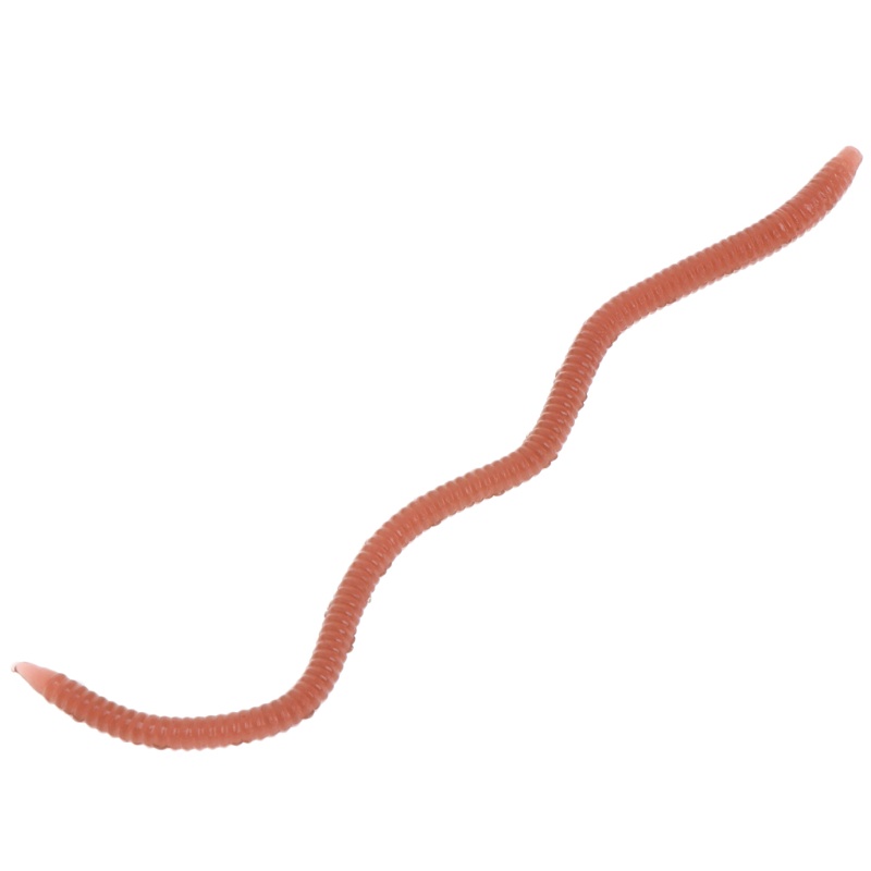 1 Hộp Mồi Giun Giả Câu Cá 10cm Mềm Co Giãn