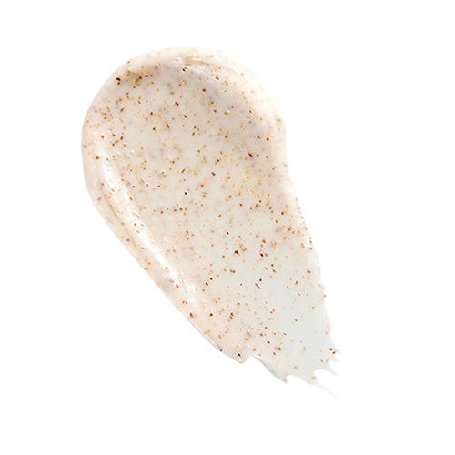 Tẩy da chết TheFaceShops Lip Scrub Shea Butter môi mềm, mịn màng - HONGS BEAUTY | BigBuy360 - bigbuy360.vn