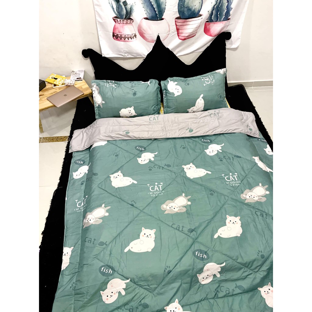 ((HÌNH THẬT)) BỘ DRAP GIƯỜNG COTTON CHẦN BÔNG MÈO TRẮNG PHỐI XÁM  ((M2X2M - M8X2M))