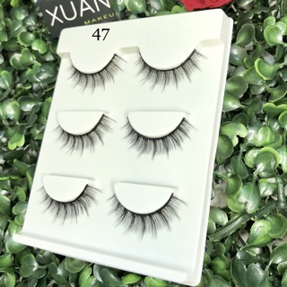 Combo 10h mi chồn