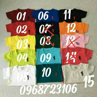 10 ÁO THUN COTTON CAO CẤP CHO BÉ TRAI 6-24 KG