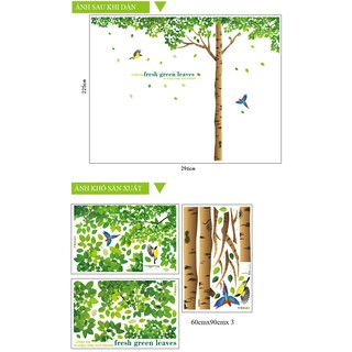 Decal dán tường Cây sồi cổ đại