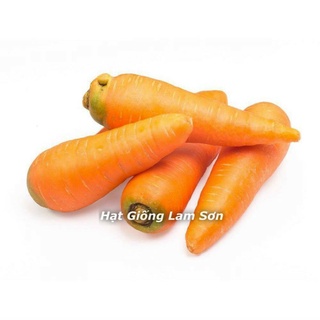 Hạt giống cà rốt đà lạt f1 cao sản - loại củ giòn ngọt, dễ trồng.