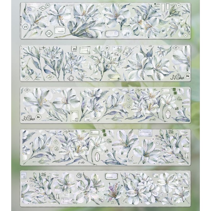 Krisna.room ♡ Hãng XBJ- 1 chu kì 100cm cuộn băng dán hình lá xanh