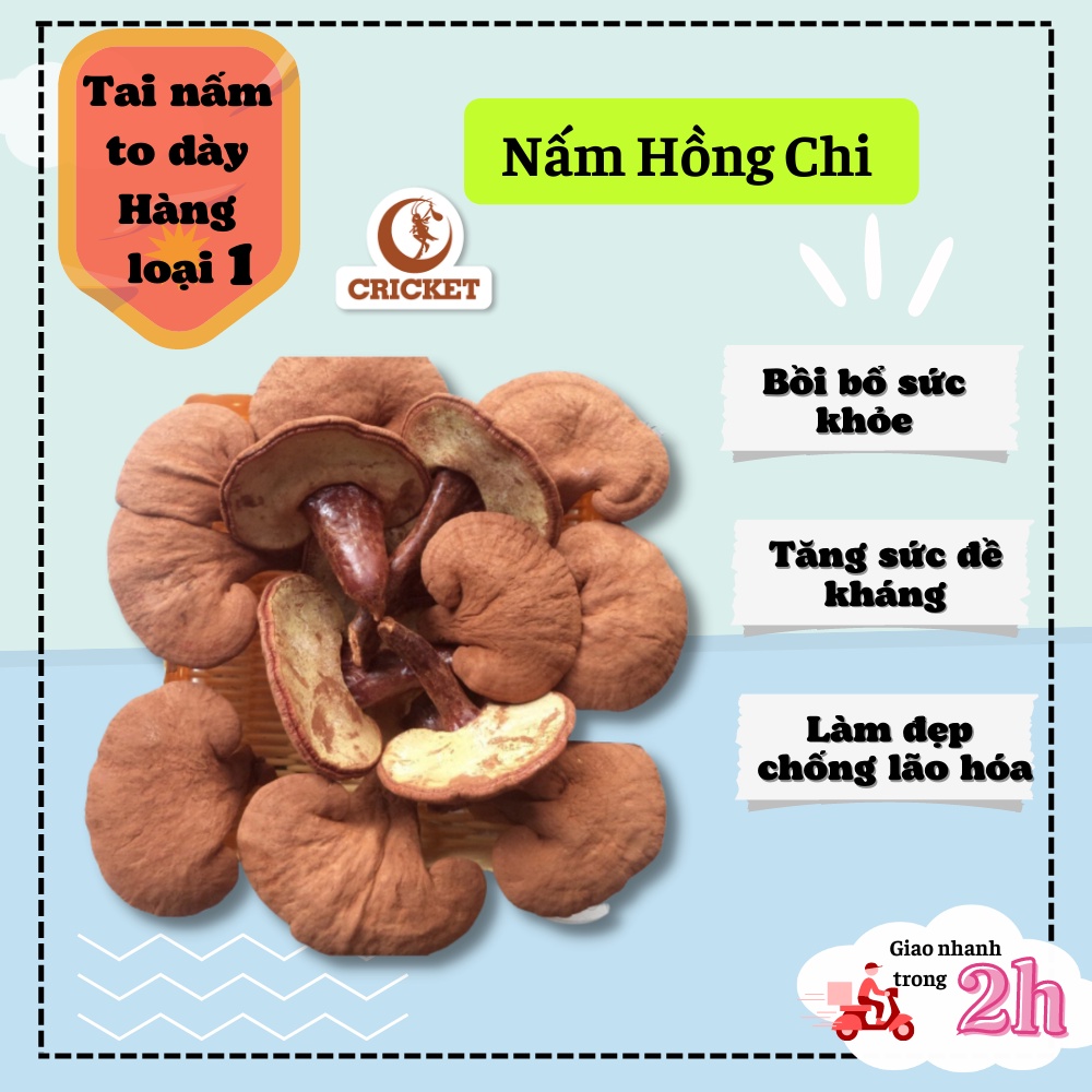 NẤM HỒNG CHI THƯỢNG HẠNG  - Quà Tặng, Quà Biếu Bồi Bổ Sức Khỏe - CRICKET