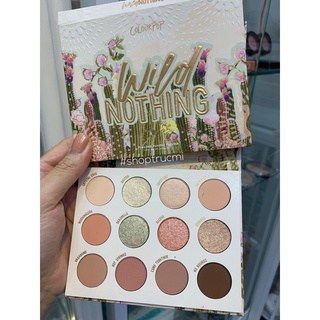 Bảng phấn mắt Colour Pop Wild Nothing