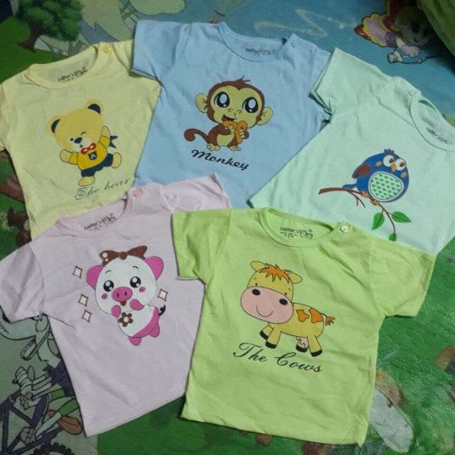 Set 5 áo catter
