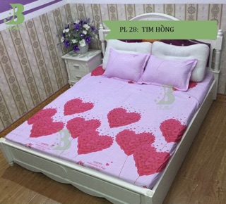 Bộ ga chun m6*2m và 2 vỏ gối đầu 45*65cm cotton poly SALE