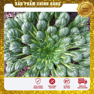 Hạt giống ray cải hoa hồng ( gói 1 gram ngon mà đẹp