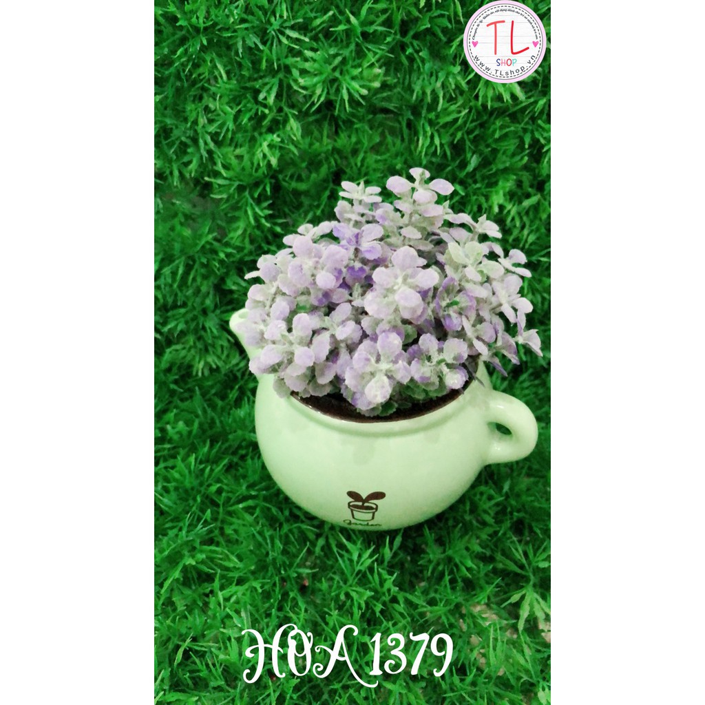 Bình hoa trà xinh xắn - Chậu hoa trang trí