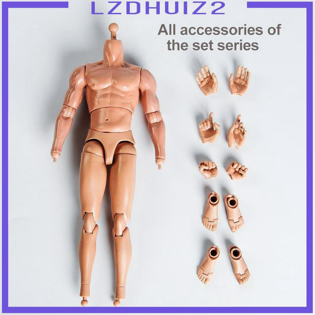 Mô Hình Cơ Thể Nam Tỉ Lệ 1 / 6