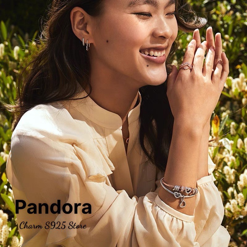 charm pan con rắn nhỏ đính đá trắng bạc s925 cao cấp