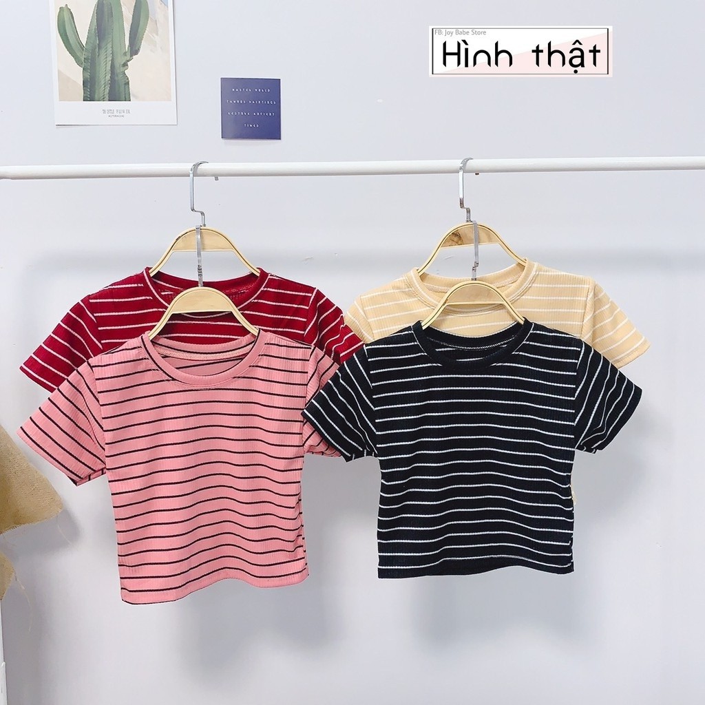 Áo Thun Nữ Sọc Ngang Basic Nhiều Màu GenY Áo Croptop Nữ Ngắn Tay Cổ Tròn Chất Thun Gân Mịn | BigBuy360 - bigbuy360.vn