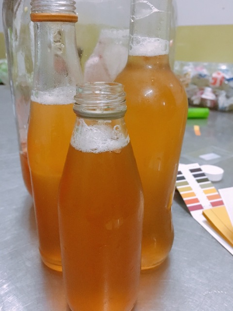 Trà Kombucha từ scoby- 980ml | BigBuy360 - bigbuy360.vn