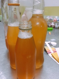 Trà Kombucha từ scoby- 980ml