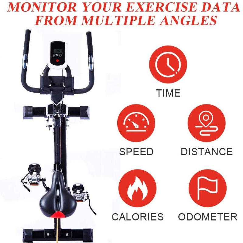 Xe Đạp Tập Thể Thao Tại Nhà, Xe Đạp Thể Dục Giúp Đốt Cháy Calo Hiệu Quả Phiên Bản 2022 Hapo HP19