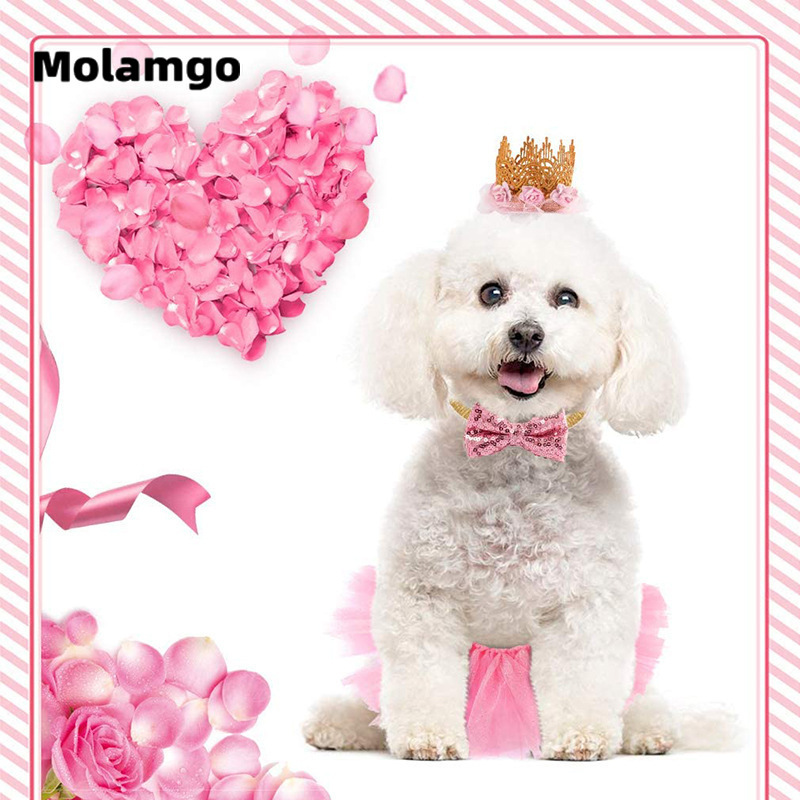 Đầm Công Chúa Xinh Xắn Cho Thú Cưng