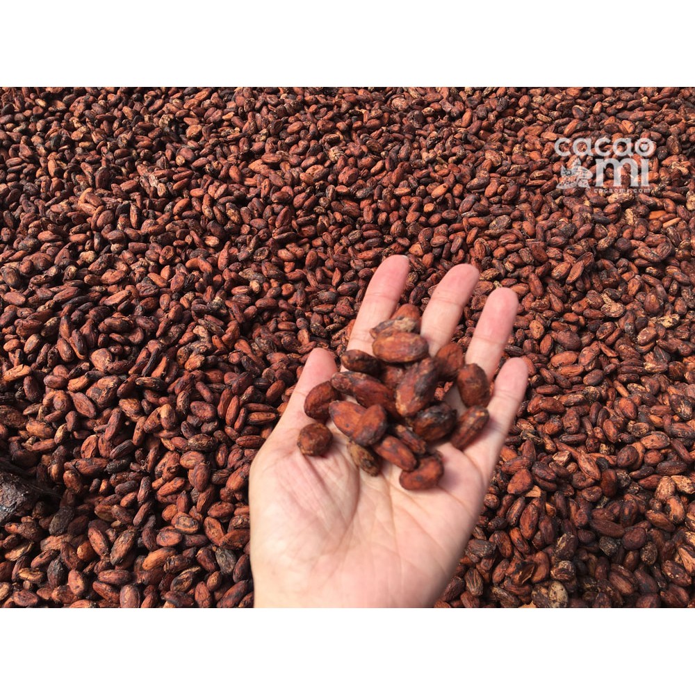 Bột cacao nguyên chất 100% không đường - Thức uống sô cô la đậm đà vị ca cao - CACAOMI Premium chuẩn xuất khẩu 250g