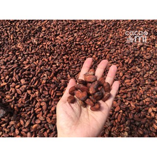 Bột Sữa Cacao CacaoMi 3in1 120g