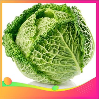 [TOP] Hạt Giống Bắp Cải Nhăn - 30 Hạt [ Tặng Kèm 1 Viên Nén Xơ Dừa ] VIETGAR