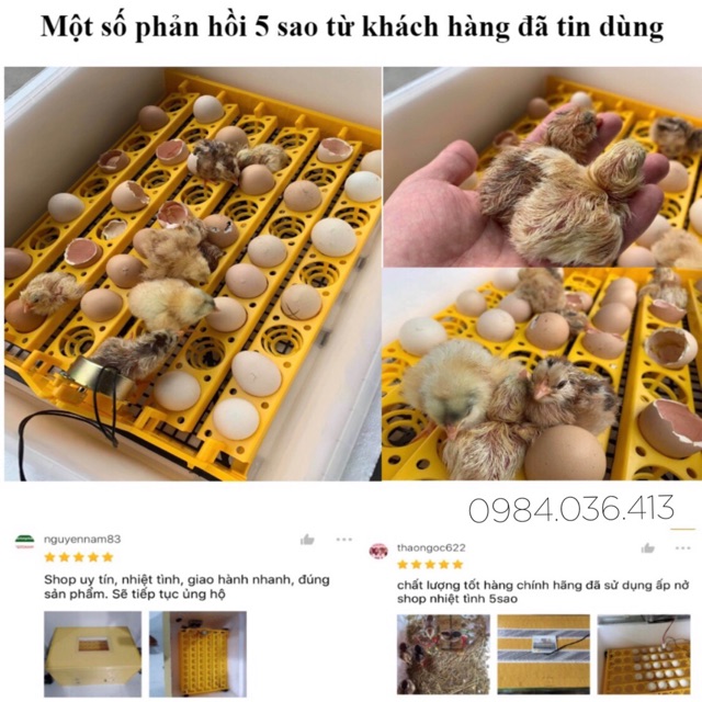 Máy ấp trứng mini Ánh Dương P100 kèm khay đảo tự động 108 trứng - máy tự lắp thùng xốp