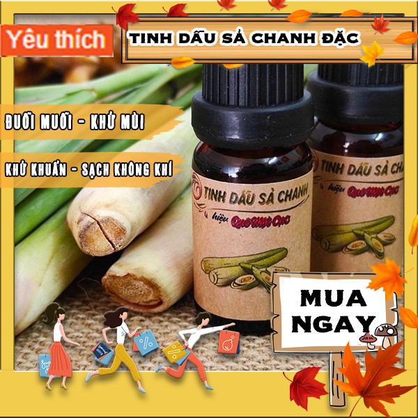 Bộ diệt muỗi thảo dược, xịt chống muỗi cho bé, tinh dầu sả chanh QUÊ MỘT CỤC (handmade)