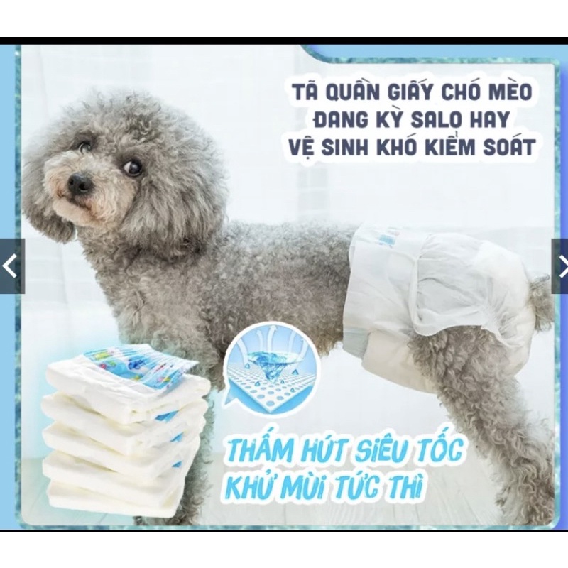 Tã quần Bỉm dono cho mèo, chó cái