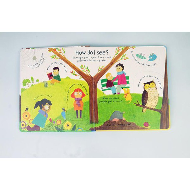 Sách Usborne - tương tác lật mở cho bé 6-8 tuổi Lift The Flap FIRST QUESTIONS ANSWERS HOW DO I SEE?