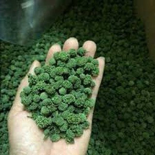 [ UY TÍN ] 100g Nụ tam thất bao tử không cuống, Nụ VIP