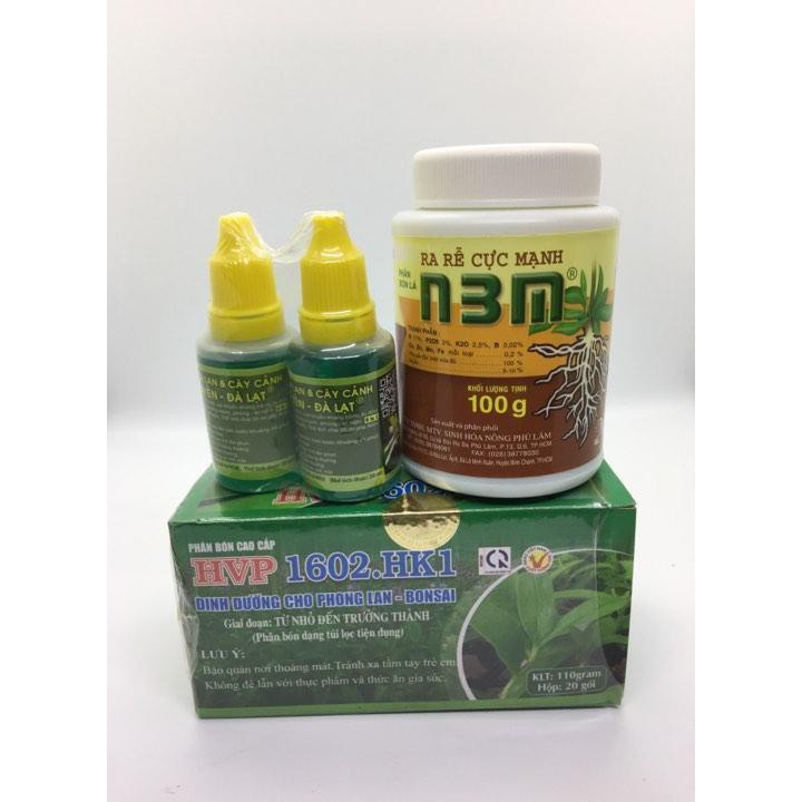 Combo chăm sóc lan cơ bản