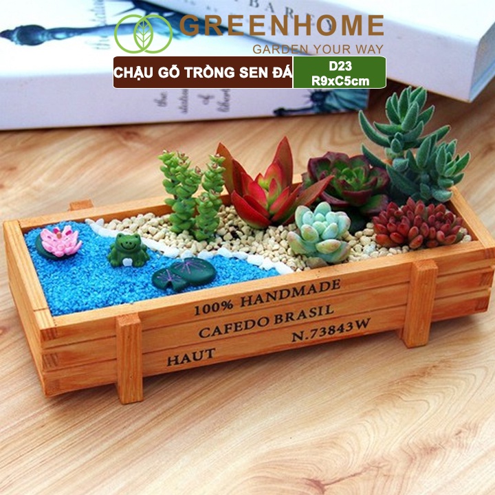 Chậu gỗ trồng sen đá Greenhome cafedo, D23xR9xC5cm, trang trí cây cảnh để bàn, xương rồng, nhiều màu để lựa chọn