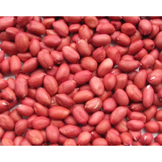 lạc đỏ nam định 1kg