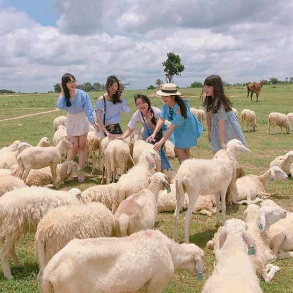 VŨNG TÀU 1 NGÀY