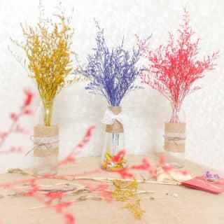 Hoa khô - sao đuôi công