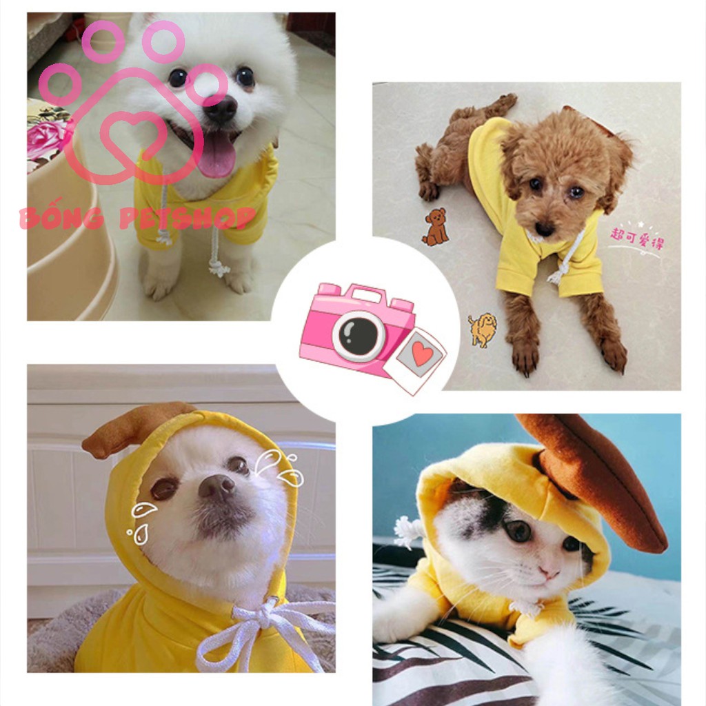 Áo nỉ hoodie cosplay hoa quả siêu đáng yêu - Bộ 2 chân cho thú cưng - Áo nỉ có mũ cho chó mèo