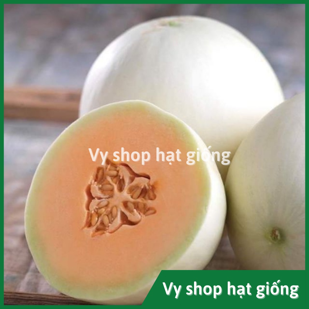 Hạt giống dưa lê cẩm ngọc ruột cam Thái Lan gói 12 hạt
