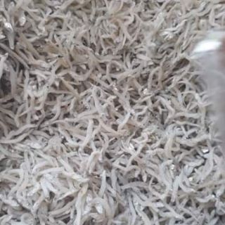 Cá cơm mờm 1kg