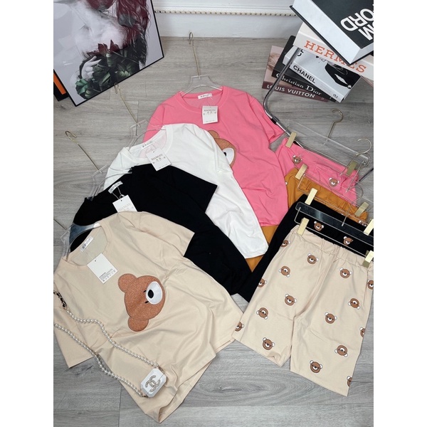 Bộ gấu cotton lửng Set gấu áo thun kèm quần sooc in gấu