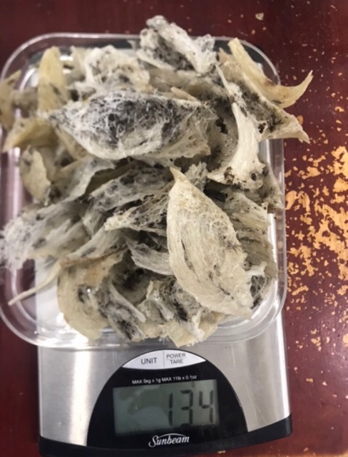 Yến Thô bể to 10g-25g-50g+🍎+🍚 | BigBuy360 - bigbuy360.vn