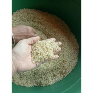 KHẨU HANG - GẠO NẾP NON TÚ LỆ YÊN BÁI ( 3kg)