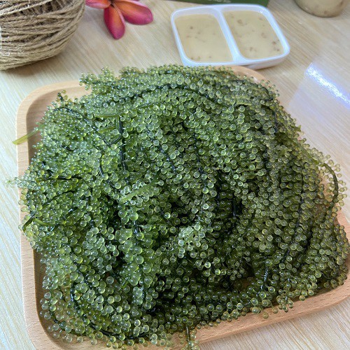 [ 𝑭𝑹𝑬𝑬𝑺𝑯𝑰𝑷 ] Rong Nho Tách Nước 30gr nở ra 150gr tặng Sốt Mè ngon tuyệt